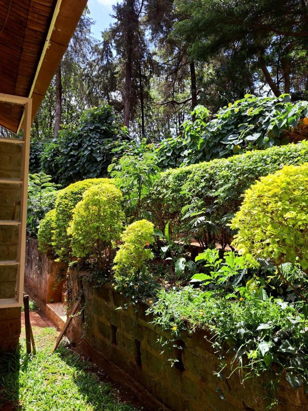 Rosslyn Studios Nairobi Exterior photo